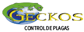 Geckos