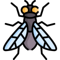 Icon mosca